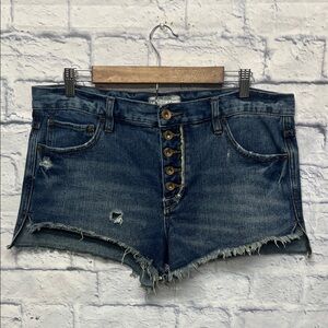 Free People Runaway Jillian Button Fly Cut Off Denim Blue Jean Shorts Sz 29